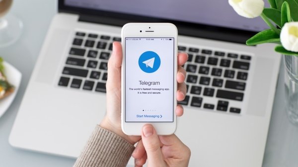 Как скачивать торренты, музыку и книги в Telegram?