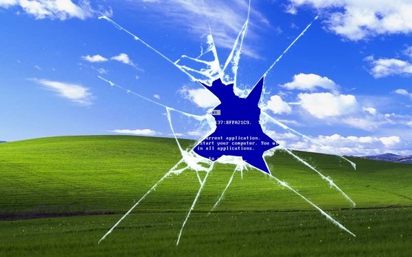 32% компаний до сих пор используют Windows XP
